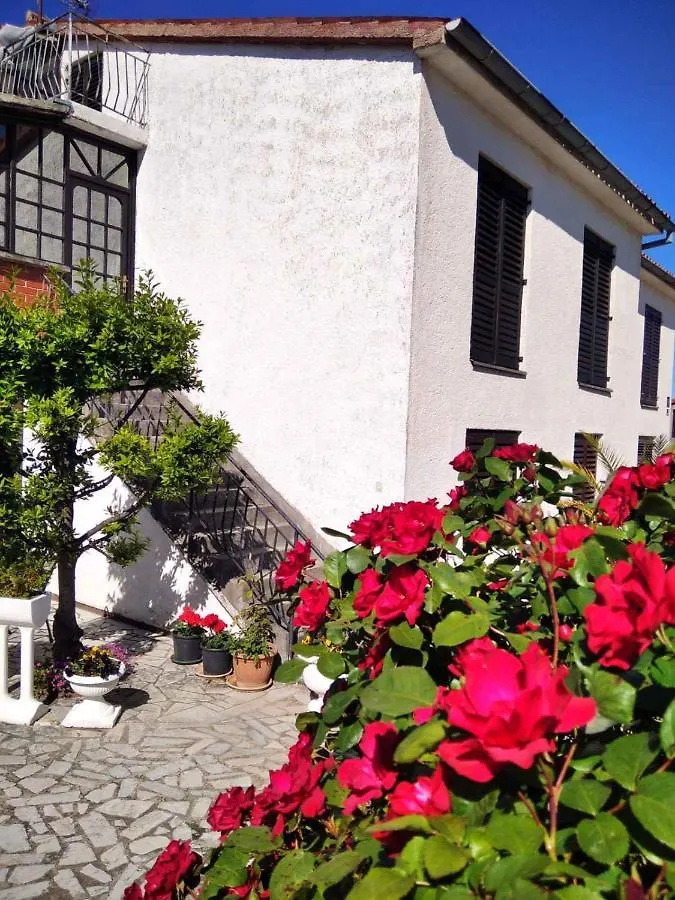Apartment In Porec/Istrien 33042